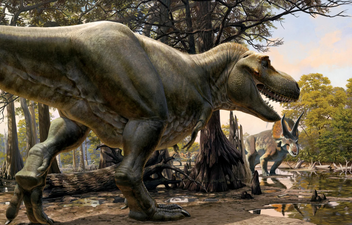 Tras la pista de mundos perdidos en el tiempo