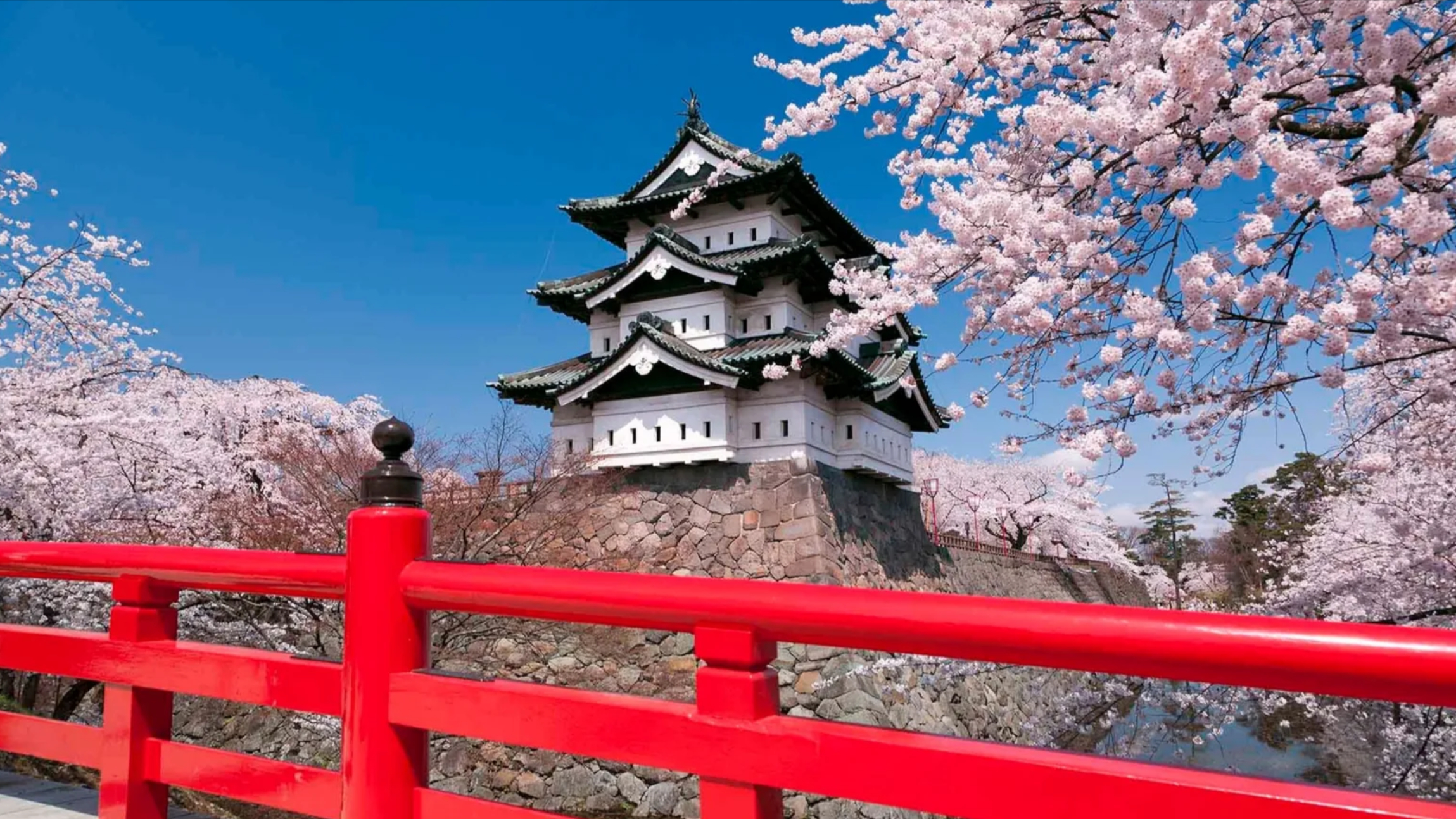 Japon: El imperio del sol naciente